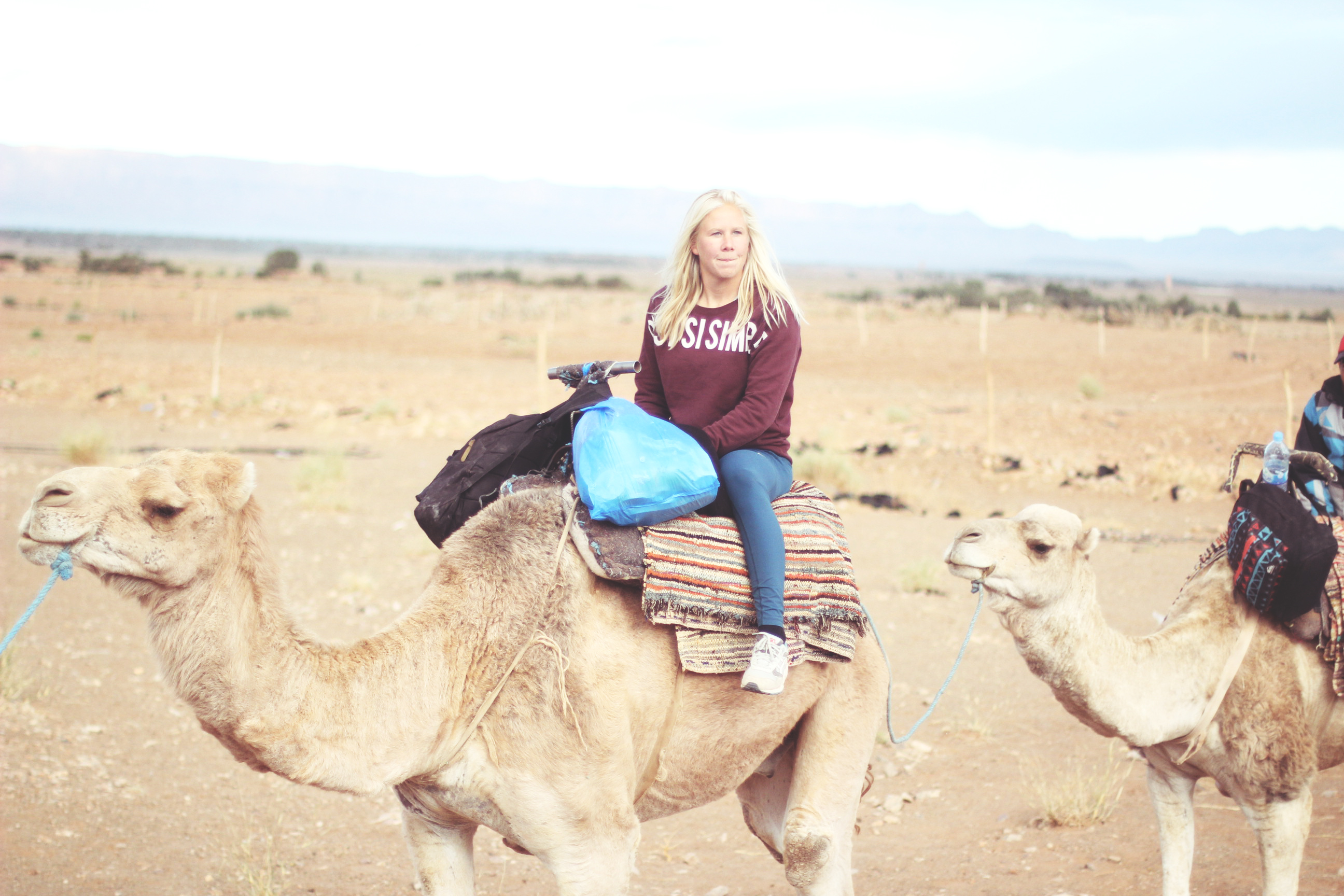 camel riding in the desert