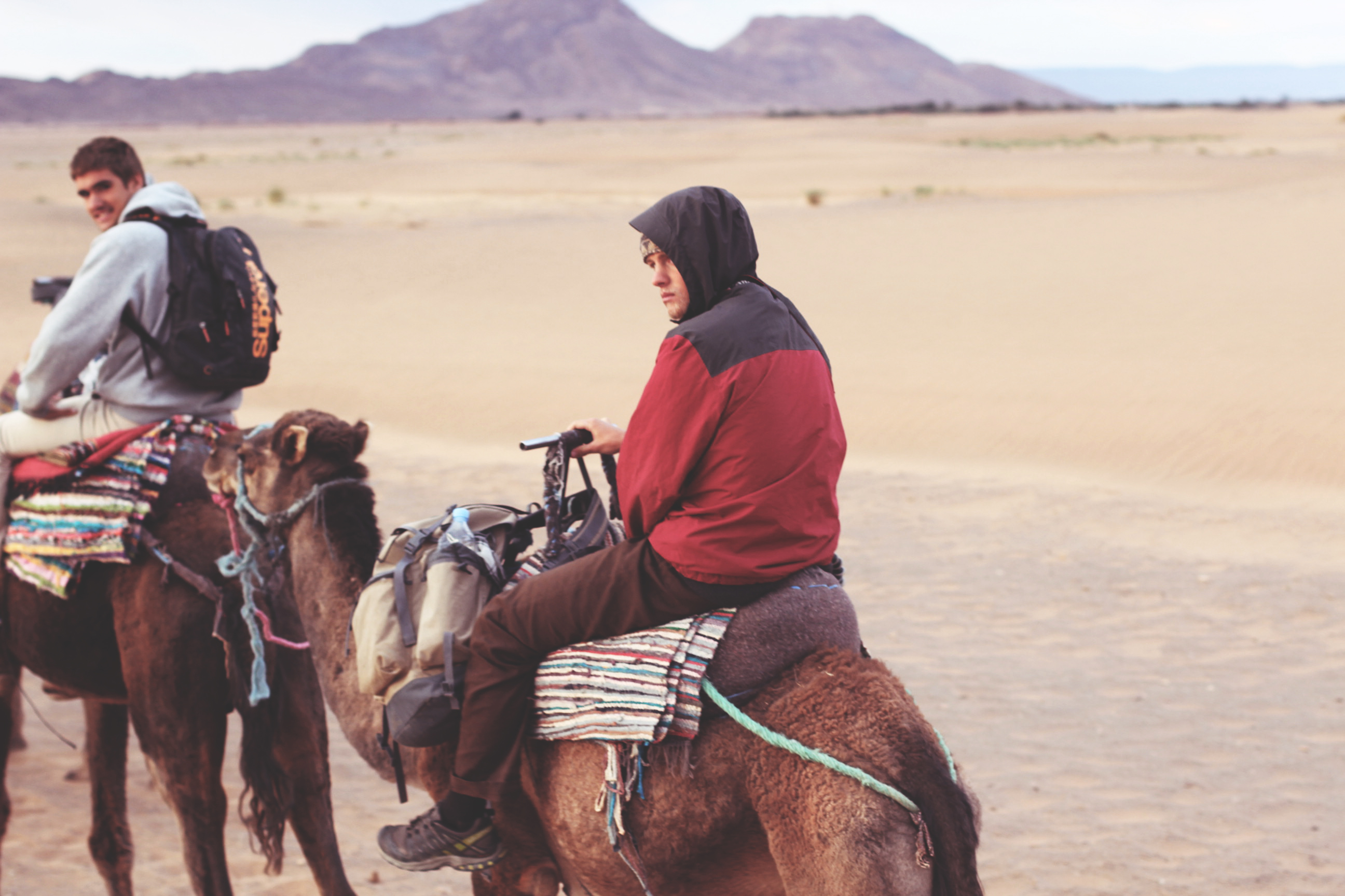 camel riding with asher and lorenzo