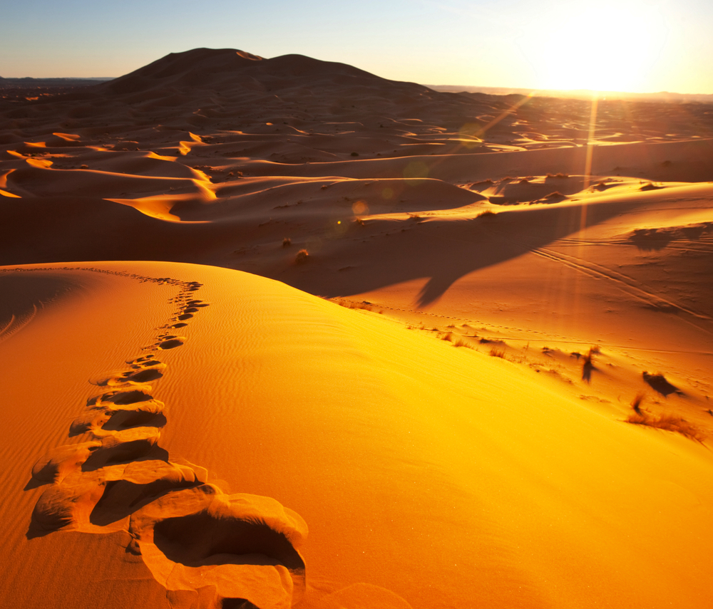 Desert trip with surf berbere on surf instructor course