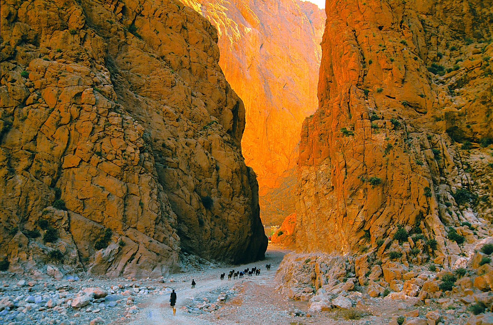 visit the todra gorge on surf holiday to morocco